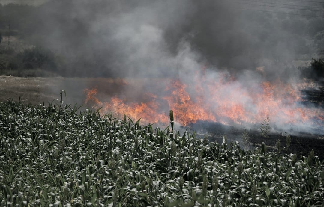Silobolsas de granos a la intemperie: el riesgo de incendio agrícola que crece con cada cosecha
