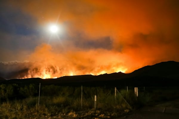 Incendios en frigoríficos: el riesgo específico de las cámaras de amoníaco