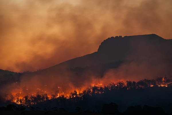 Cambio climático y temporada de incendios extremos: cómo replantear la planificación del cuartel
