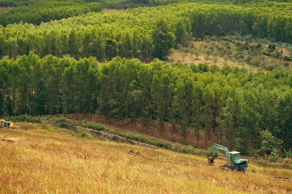 Autocombustión en plantas compostadoras y de biomasa: el riesgo agroindustrial silencioso