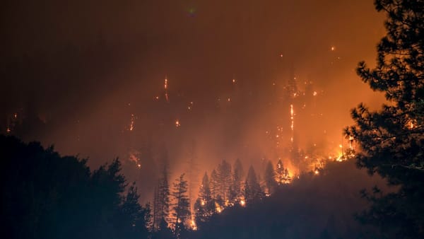 Drones térmicos para encontrar focos ocultos en incendios de gran superficie: qué cuartel puede sumarlos y cuánto cuesta